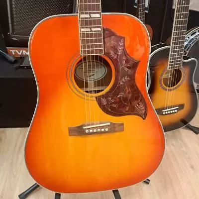 Epiphone - EEHBFCNH 2